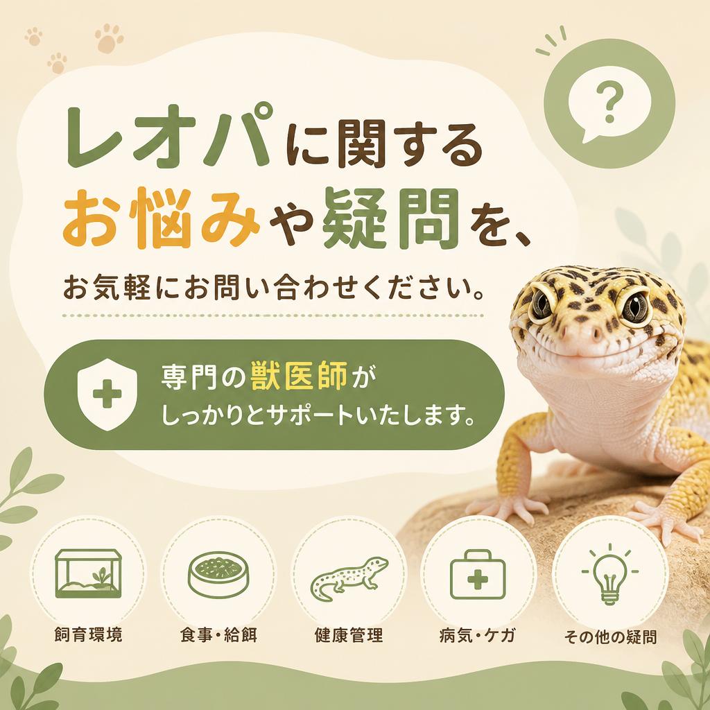 お問い合わせ・相談窓口