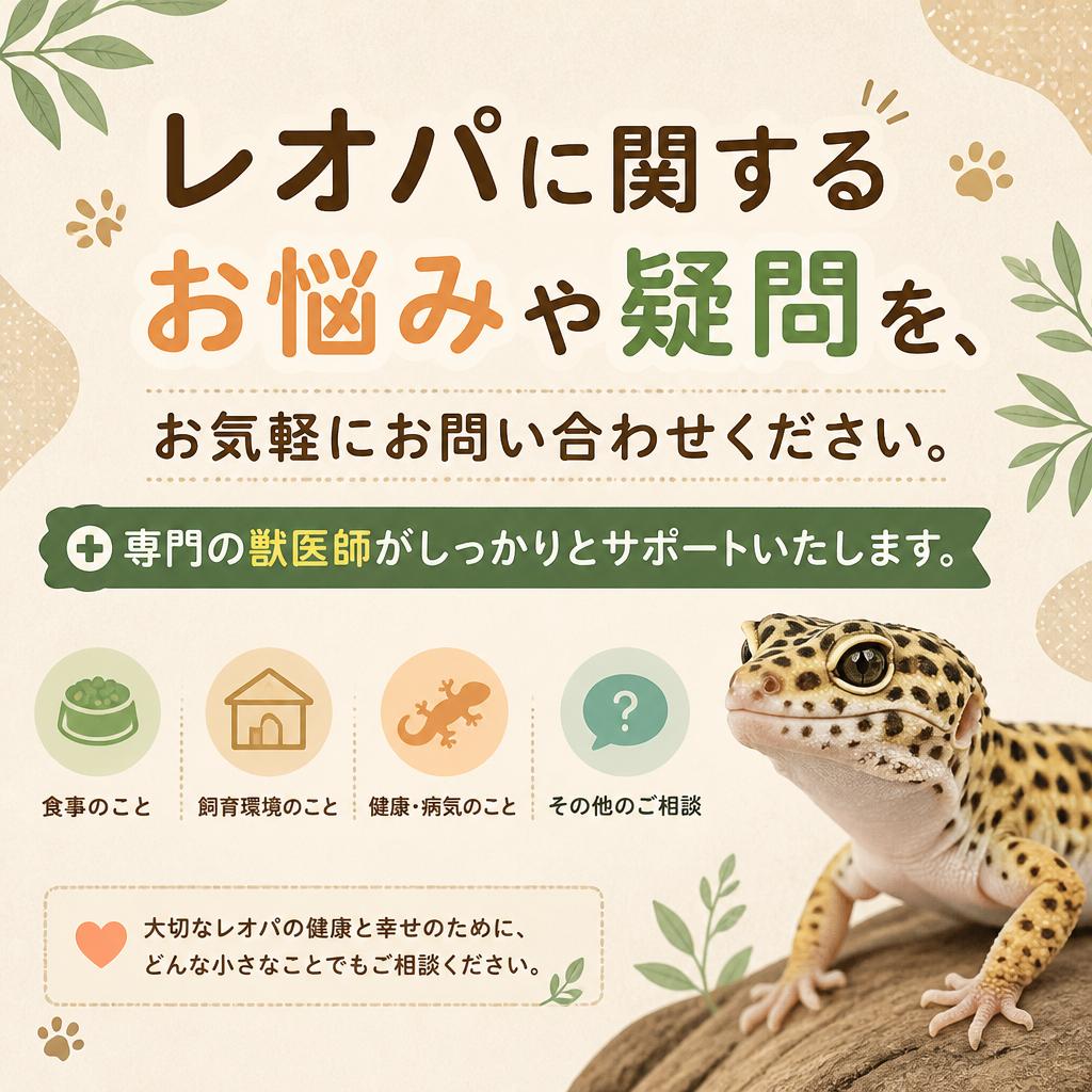 お問い合わせ・相談窓口